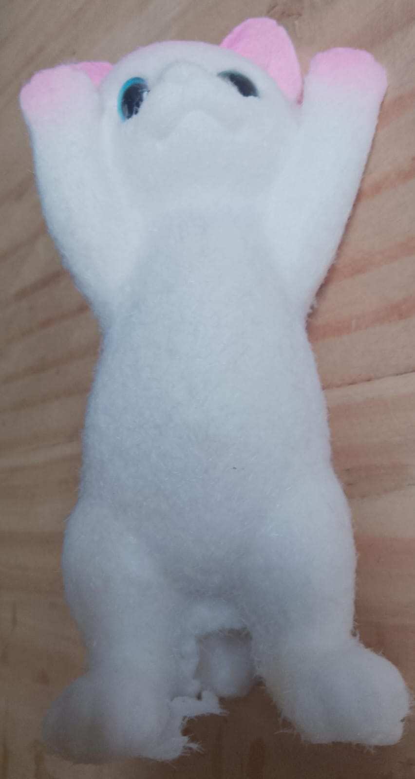 Squishy Gato