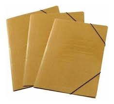 Carpeta Elástica Marrón Común