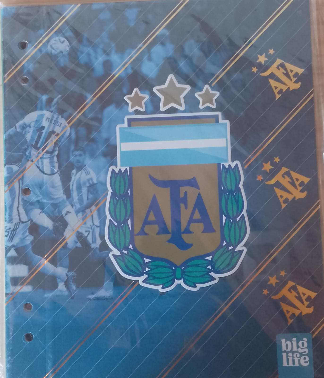 Carpeta de Dibujo N°3 PPR - AFA