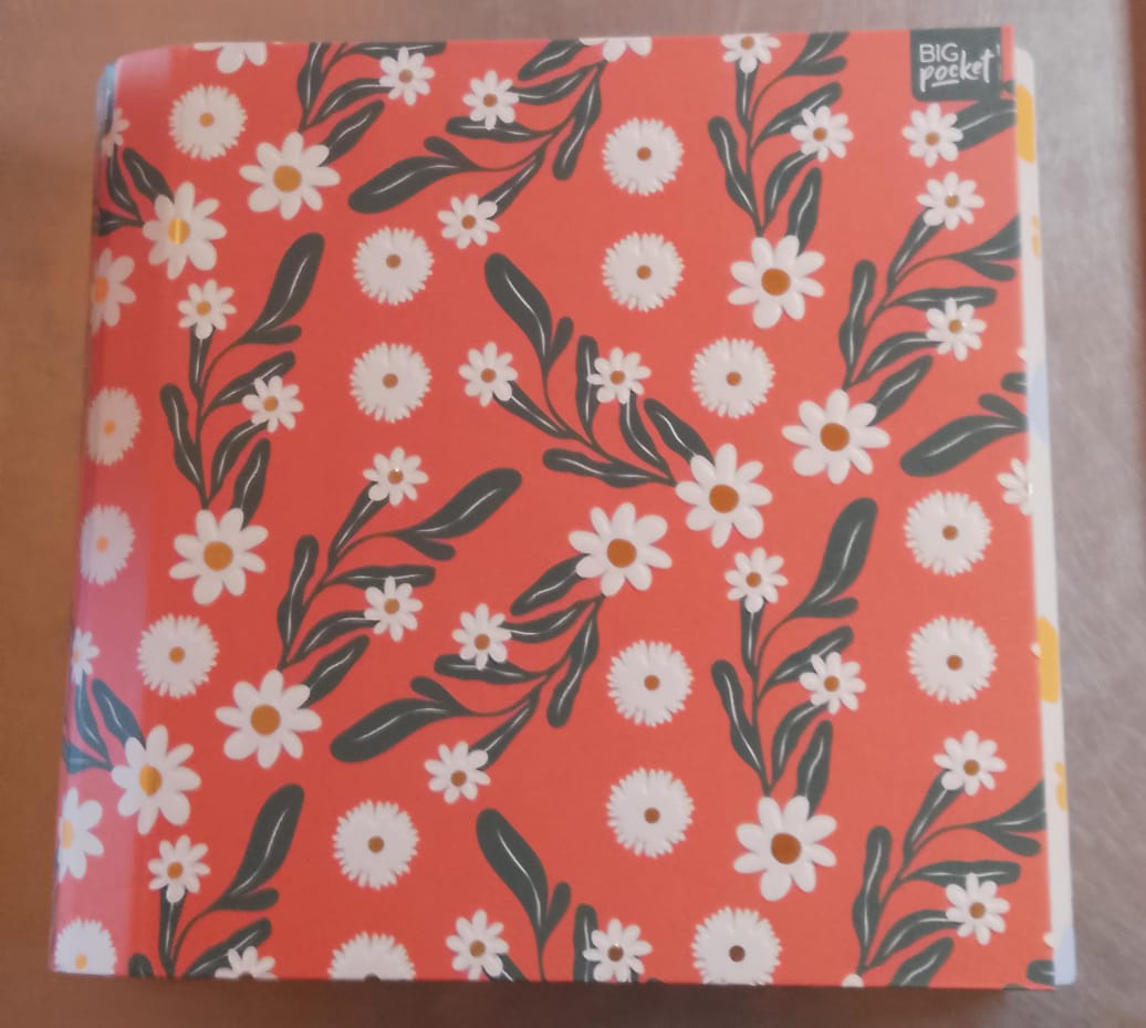 Carpeta 3x40  - Natural
