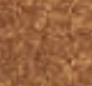 Cartulina con Brillo x10 Unid. - Marron